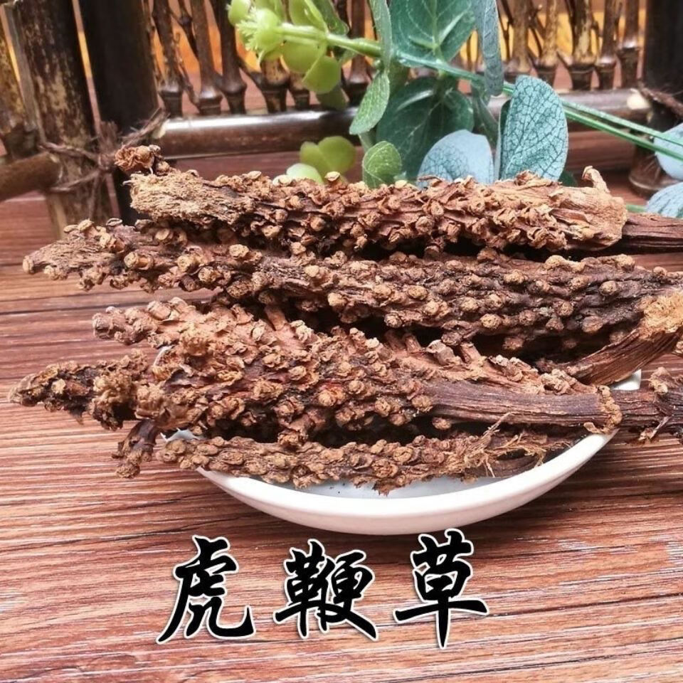 虎鞭草 顶天柱 阳鞭劲回春草:云南苗家腾冲特产野生中草药泡酒料!