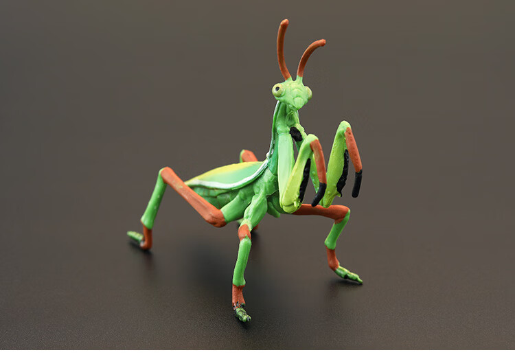 仿真兰花螳螂 实心昆虫玩具模型套装 螳螂 大刀螂 祷告虫 认知礼品