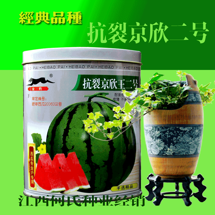 早熟西瓜种子抗裂京欣二号皮薄红瓤甜度高瓜发芽率高原装千粒