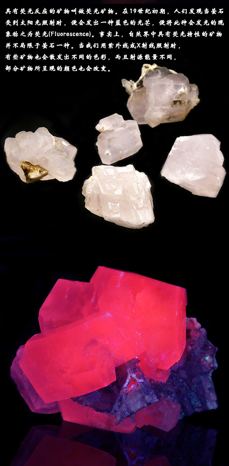 【品质保证】荧光方解石 b8福建产天然粉色荧光矿物柱状方解石原石