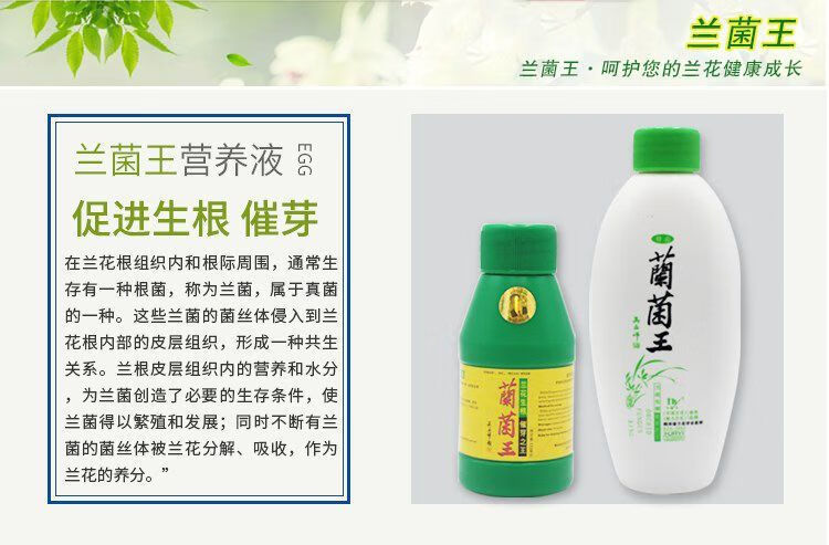 兰菌王四川华奕兰菌王兰花专用肥料生根催芽蕙兰营养液叶面肥花卉兰菌