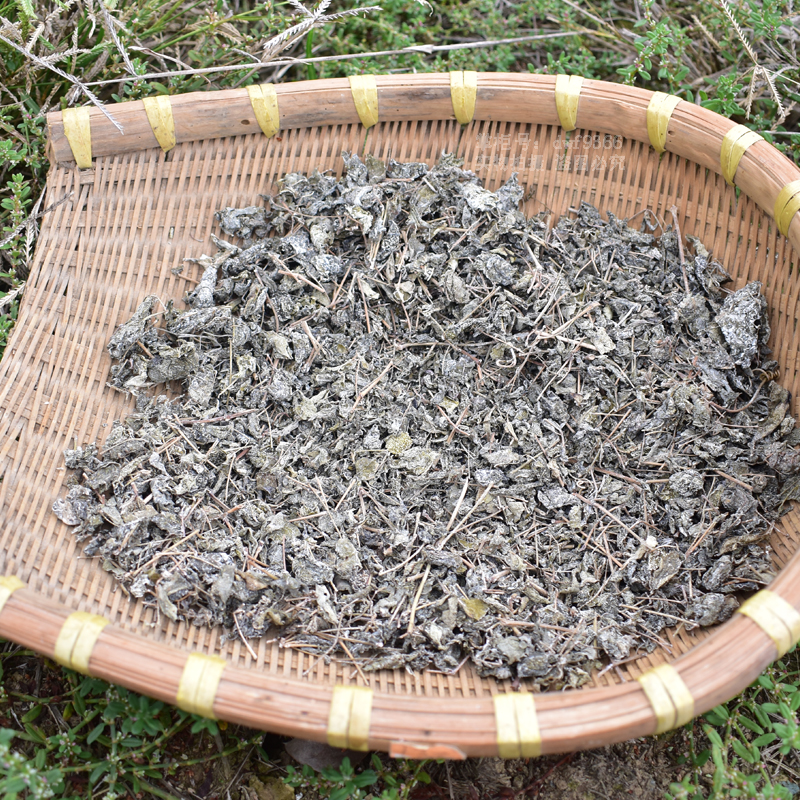 茶溪黄草农家无硫泡茶回甘营养广东凉茶 野生溪黄草/藤茶500克【图片