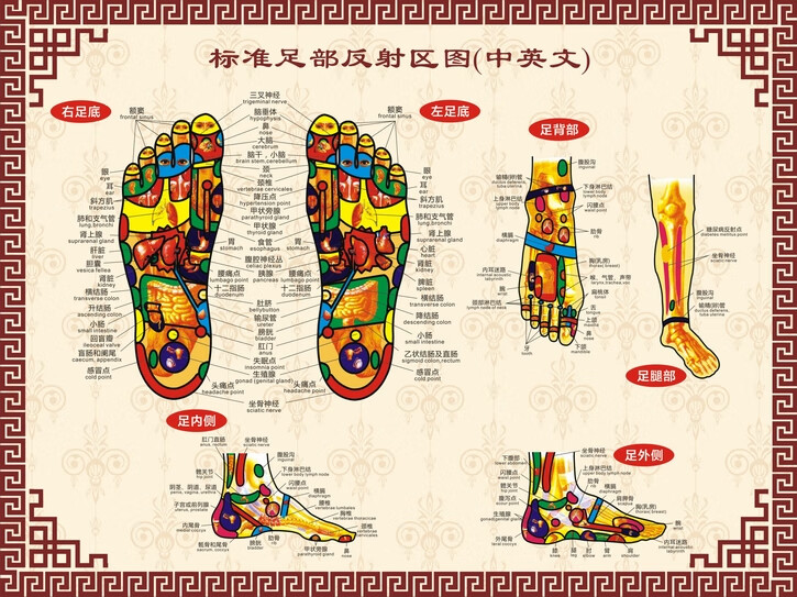 足部脚部手部脸部面部耳部反射区图穴位图足穴脚穴耳穴脸挂图 标准
