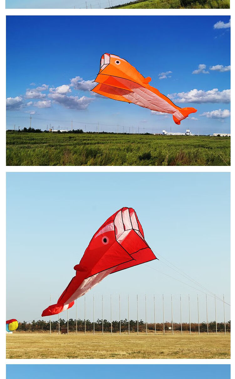 鲸鱼软体风筝大人大型立体无骨架大风可爱易飞海豚蓝鲸鱼18cm蓝水晶轮