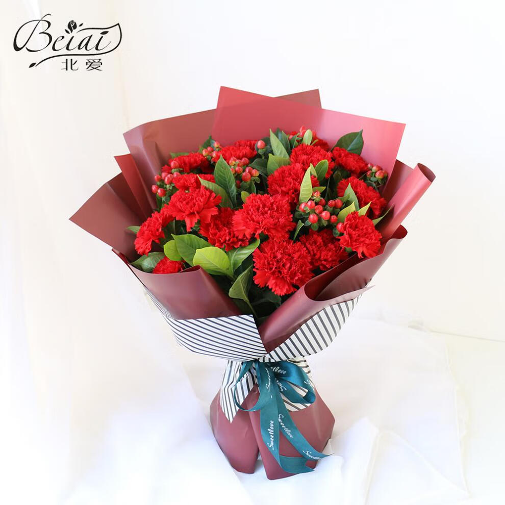 玫红色康乃馨花束 不含花瓶