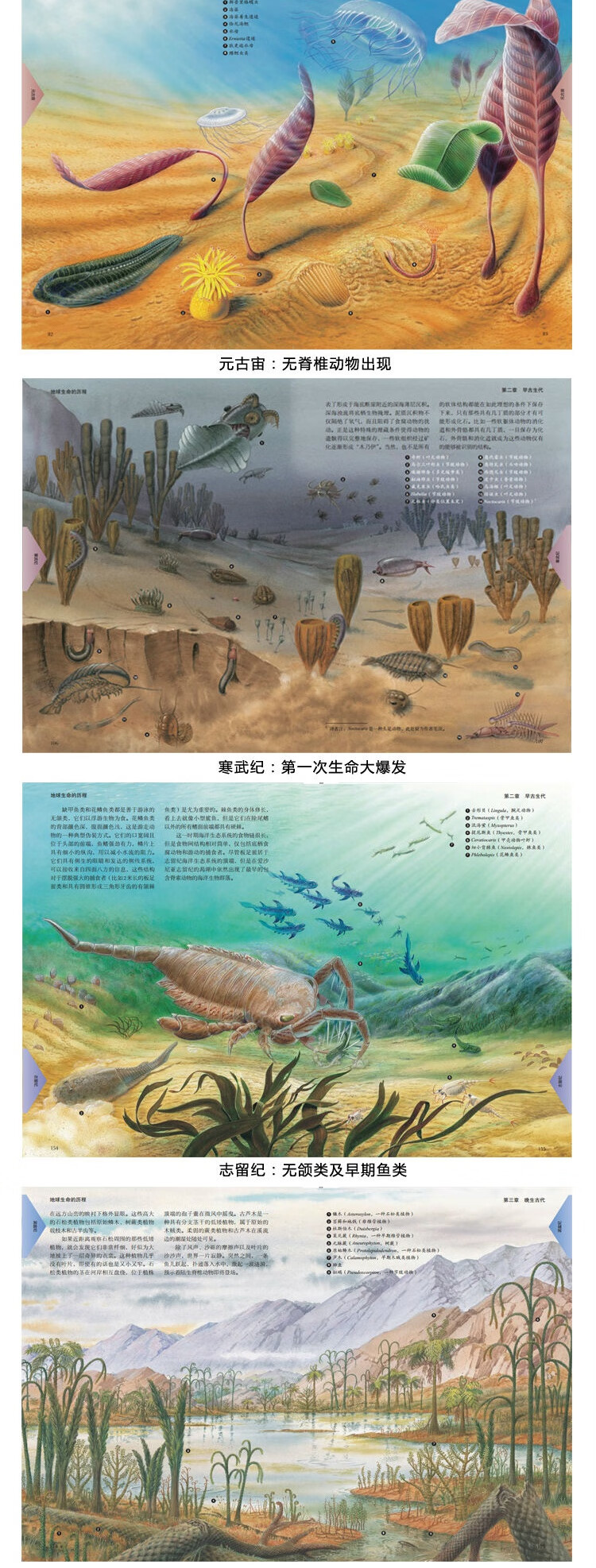 地球生命的历程 生物百科全书 生命的出现恐龙时代冰河时代 自然科学