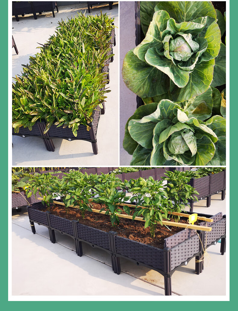 种菜专用箱种植箱楼顶蔬菜盆家庭阳台特大花箱家用花盆长方形单层双排