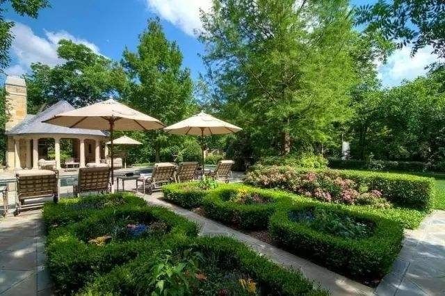 小叶女贞树苗四季常青盆栽庭院别墅小区绿篱苗道路绿化耐寒不落叶