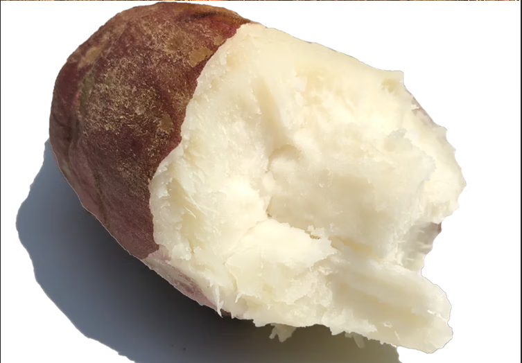 2022年现挖红皮白心红薯农家新鲜板栗薯白心地瓜5白