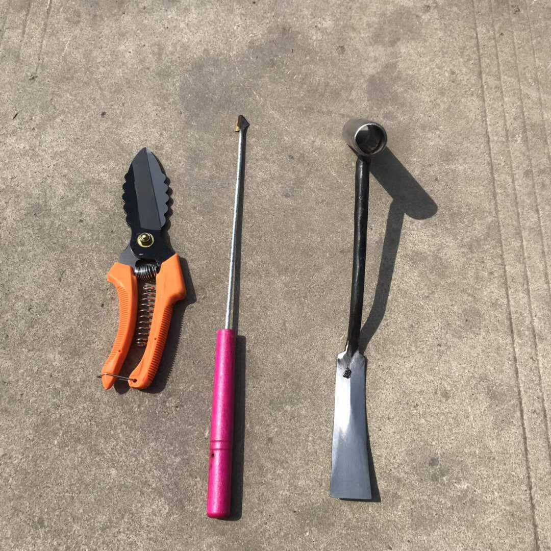 蒜苔刀 蒜苔抽拔器 蒜苔划刀 蒜苔抽子蒜苔收割刀 补上蒜苔收割器