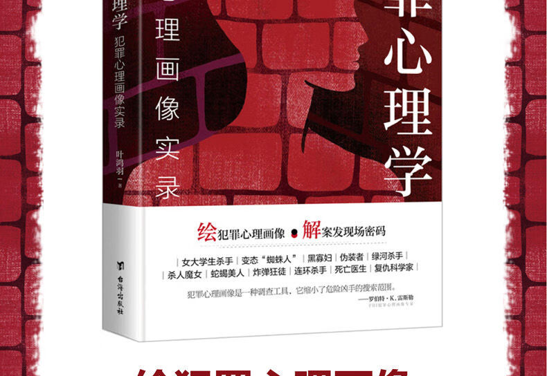 《犯罪心理学:犯罪心理画像实录悬疑推理绘犯罪心理小说 犯罪心理全