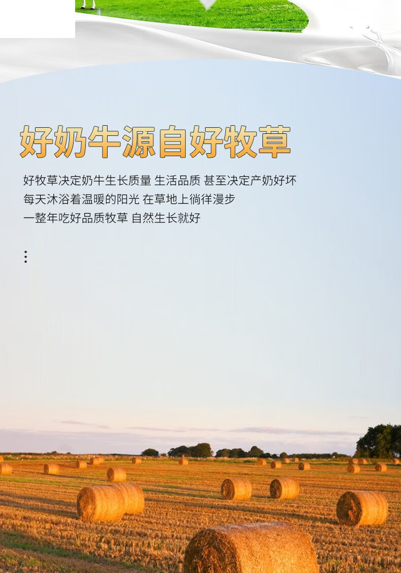 青海雪尔玛小牦牛纯牛奶200克袋装儿童早餐牛奶整箱小牦牛尝鲜装200克