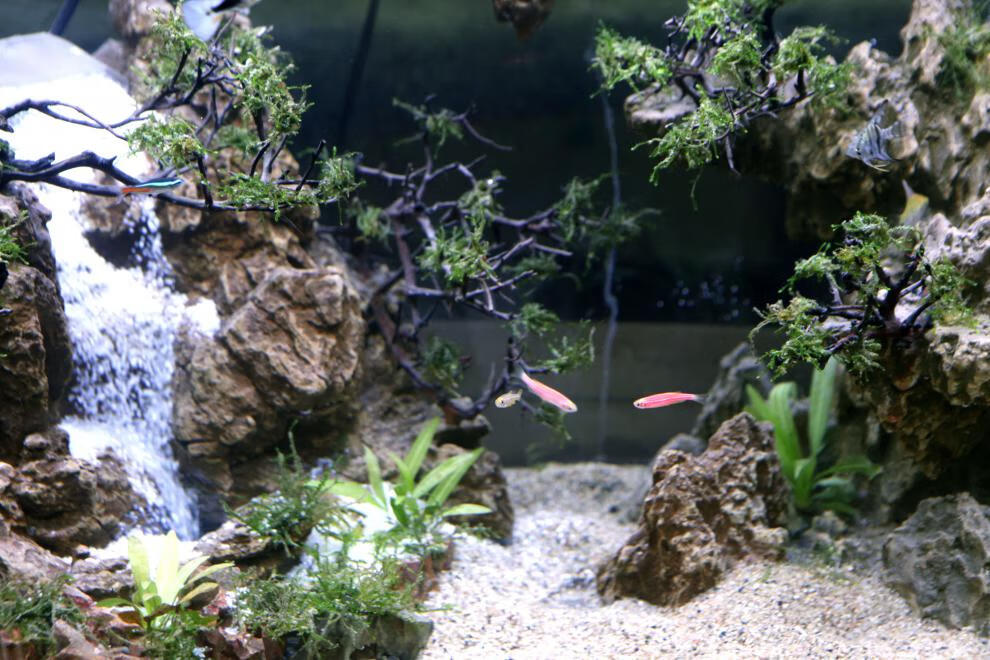 新鱼缸积木骨架造景悬浮套装松皮石头实拍水动力流沙瀑布60缸