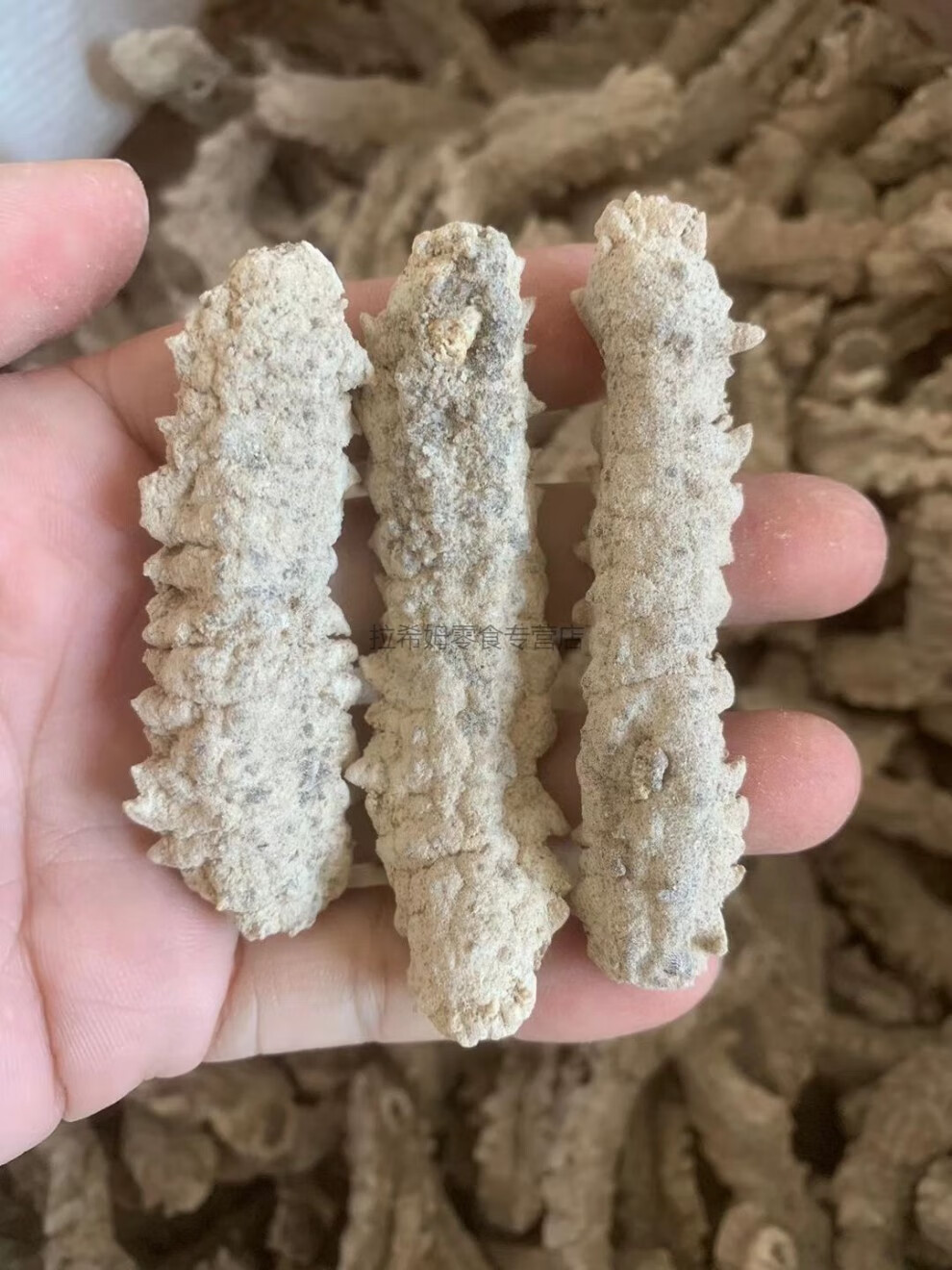 黄玉参海参干货黄肉参仔小黄玉参酒店食材用料精选中大号250g约70头