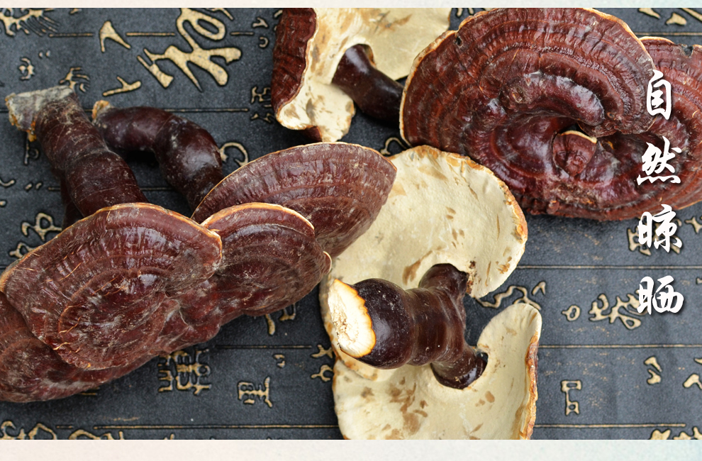 福曦堂白心灵芝 白心赤芝 西藏灵芝 精选货 灵芝片5克【图片 价格