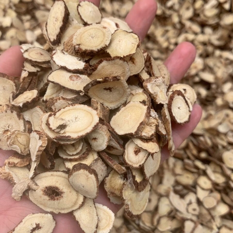 野生红芪500g50g甘肃红芪片正宗黑芪片 非中药材黄芪片无硫 野生红芪