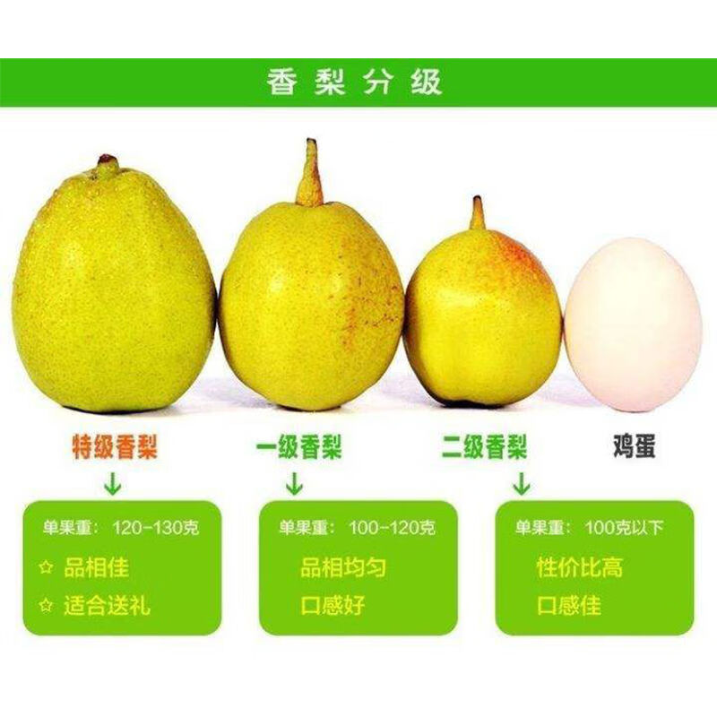 m库尔勒香梨红香酥梨新鲜水果孕妇水果品质脆甜多汁整箱梨子批发 5斤