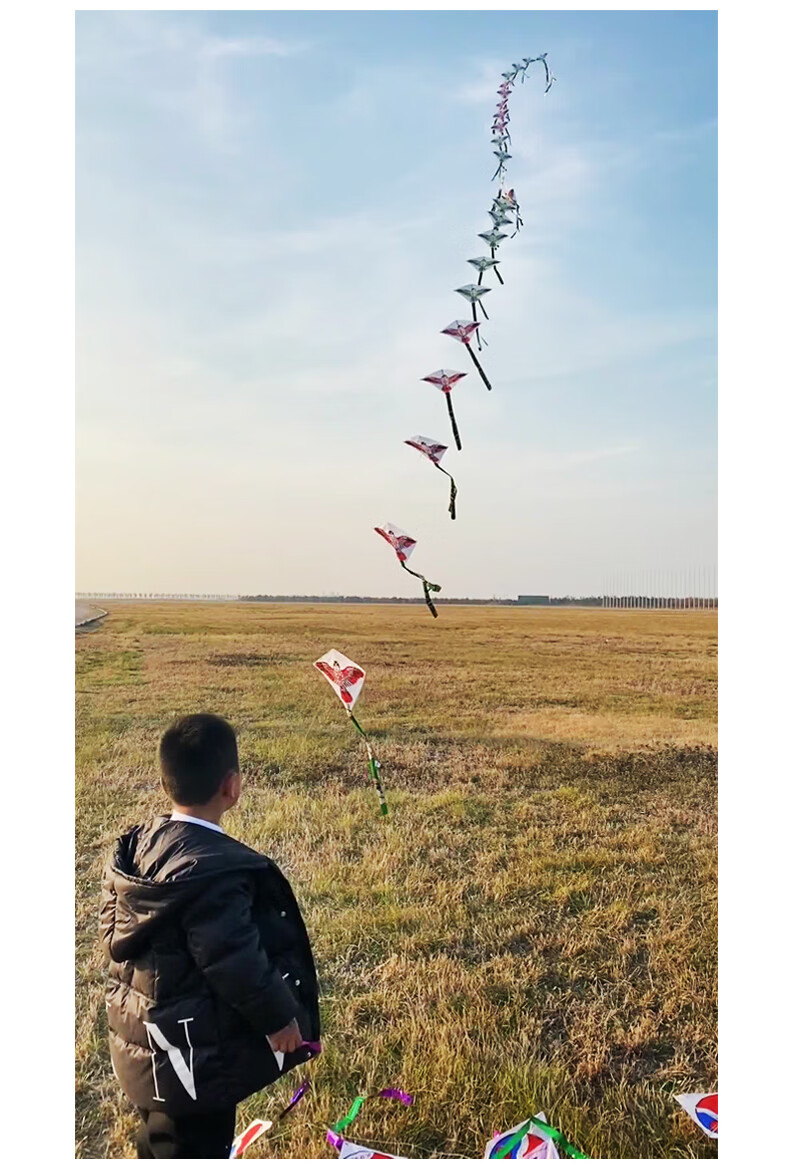 串式风筝鱼竿风筝动态小燕子十只小风筝儿童手持鱼竿十字串风筝10只串