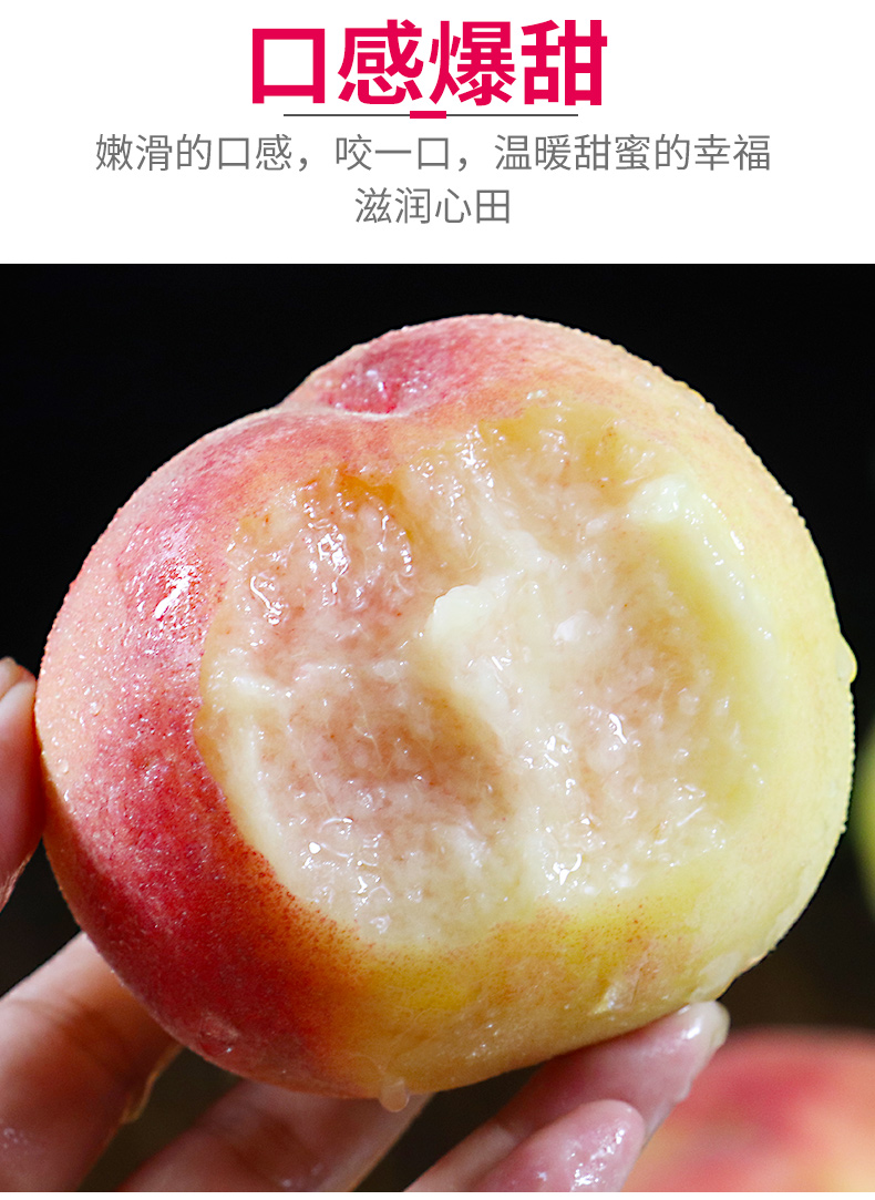 骄瑰 正宗上海新鲜水果软桃子当季毛桃孕妇整箱软甜现摘顺丰速递 送礼