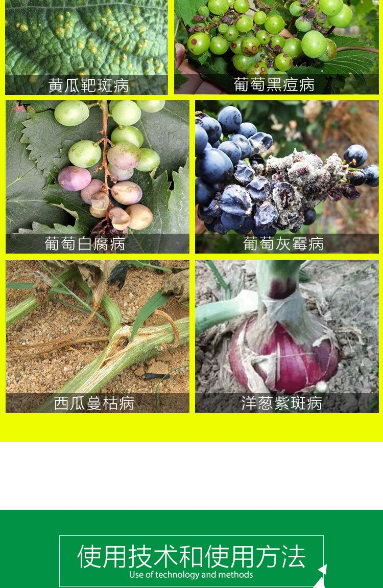 柯必达月季花卉白粉病专用药拜耳露娜森黑斑灰霉病害农药剂养花100ml1