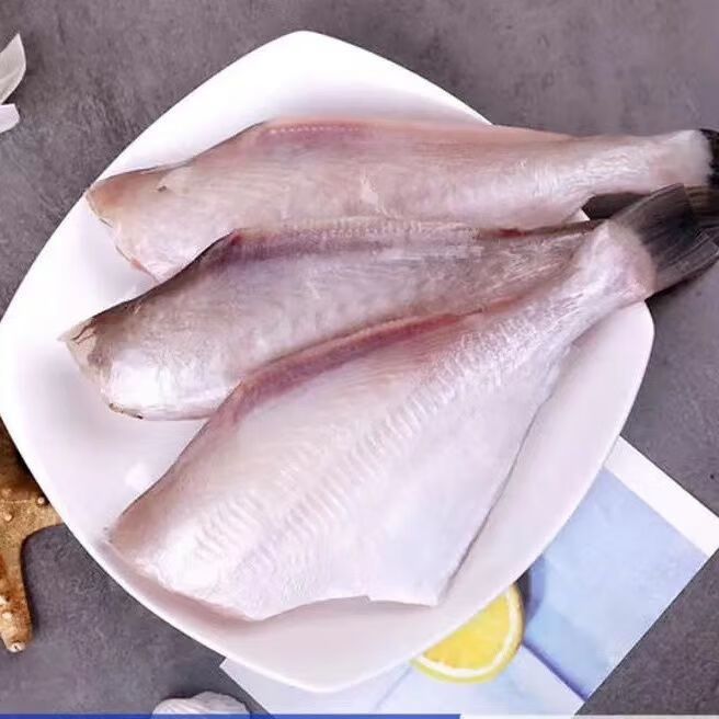 冷凍海鮮水產大號耗兒魚扒皮魚冰鮮馬面魚燒烤火鍋食材橡皮魚高品質中