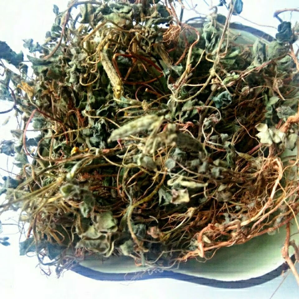 贵州省野生草药酢浆草 新鲜干货酸浆草酸咪咪酸三叶酸炸浆草 打粉250