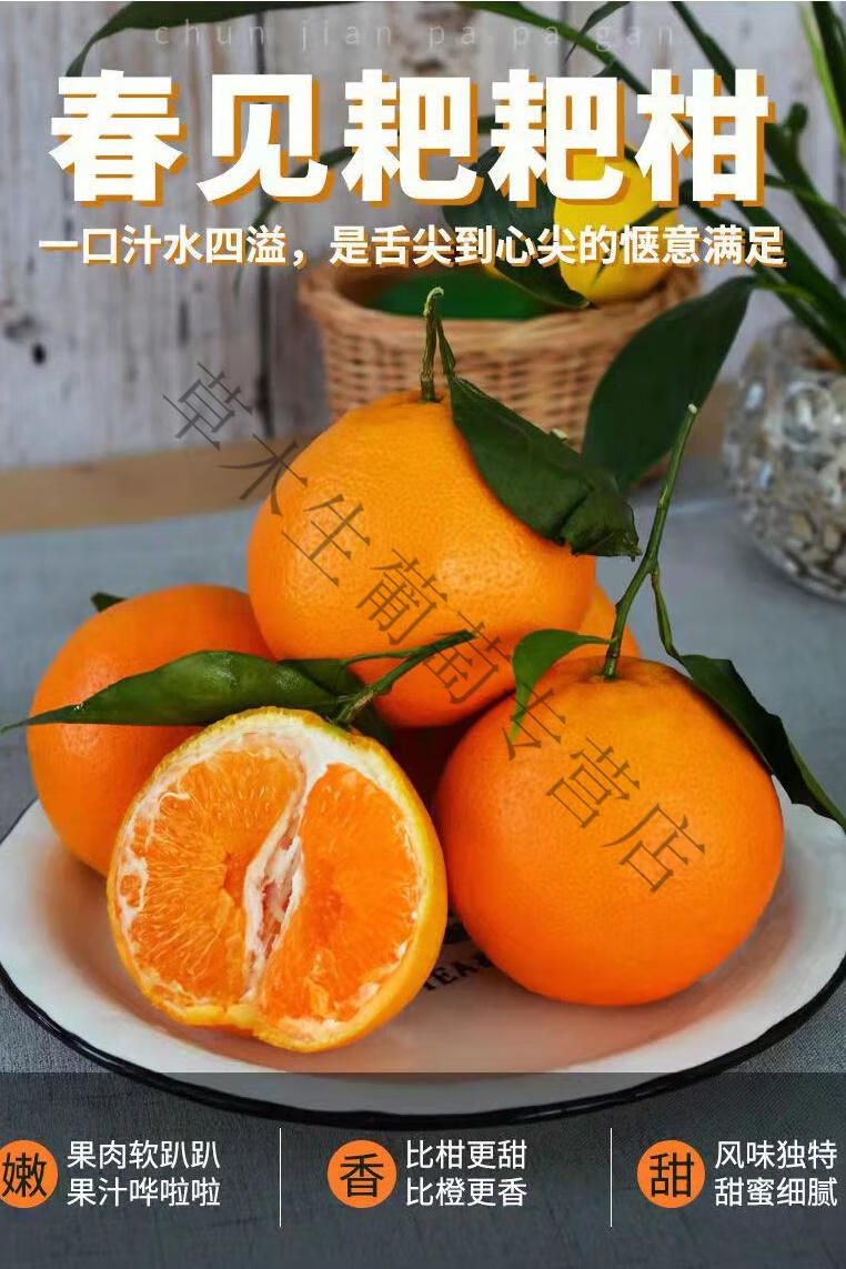 素界春见耙耙柑爆汁四川眉山果当季新鲜爆浆正宗粑粑柑春见 5斤【图片