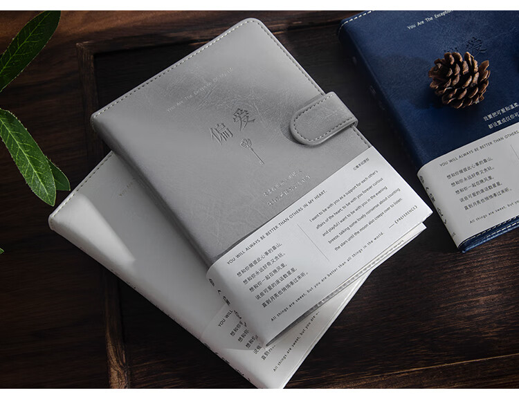 馨友佳青禾纪偏爱手账本少女心ins风笔记本大学生日记本子预售详情