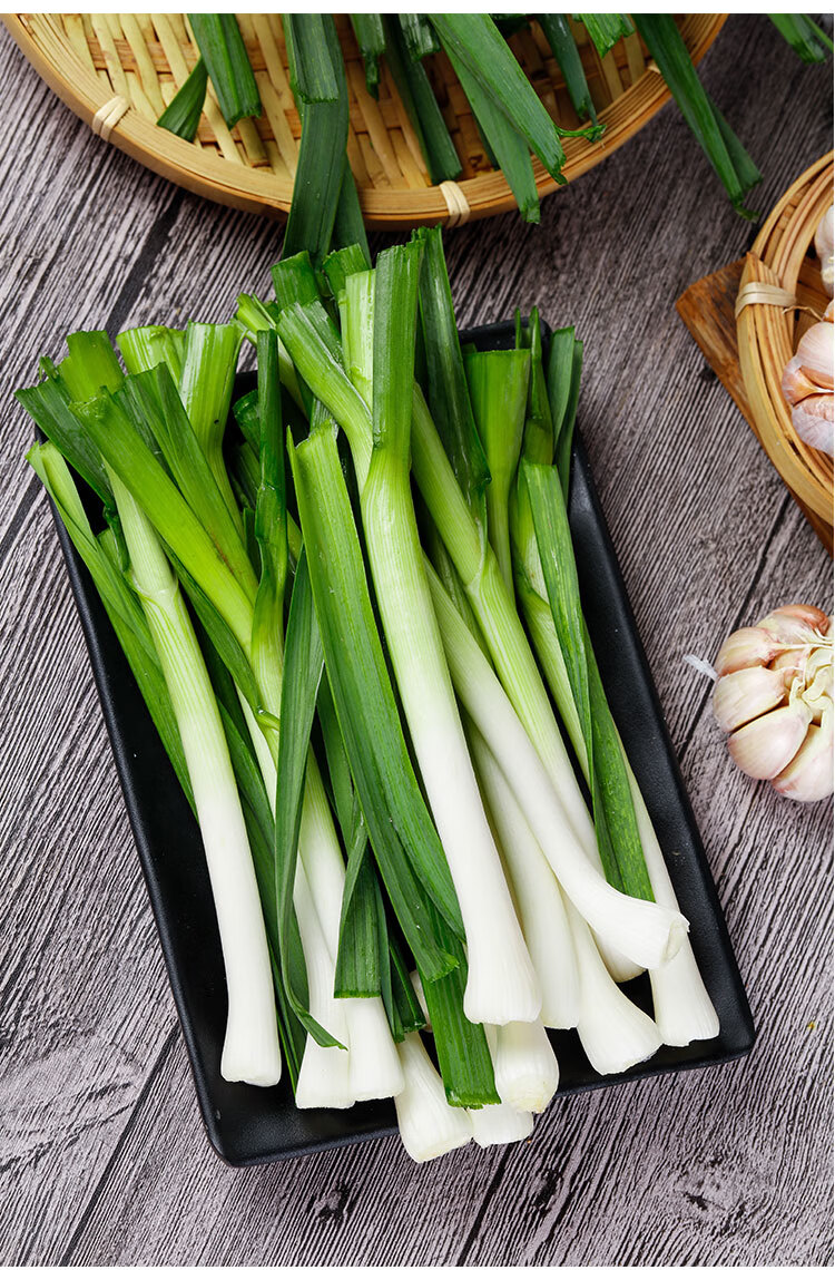 蒜苗香苗红皮大蒜现挖新鲜苗农家自种当季蔬菜苔嫩青蒜苗 5斤 蒜苗