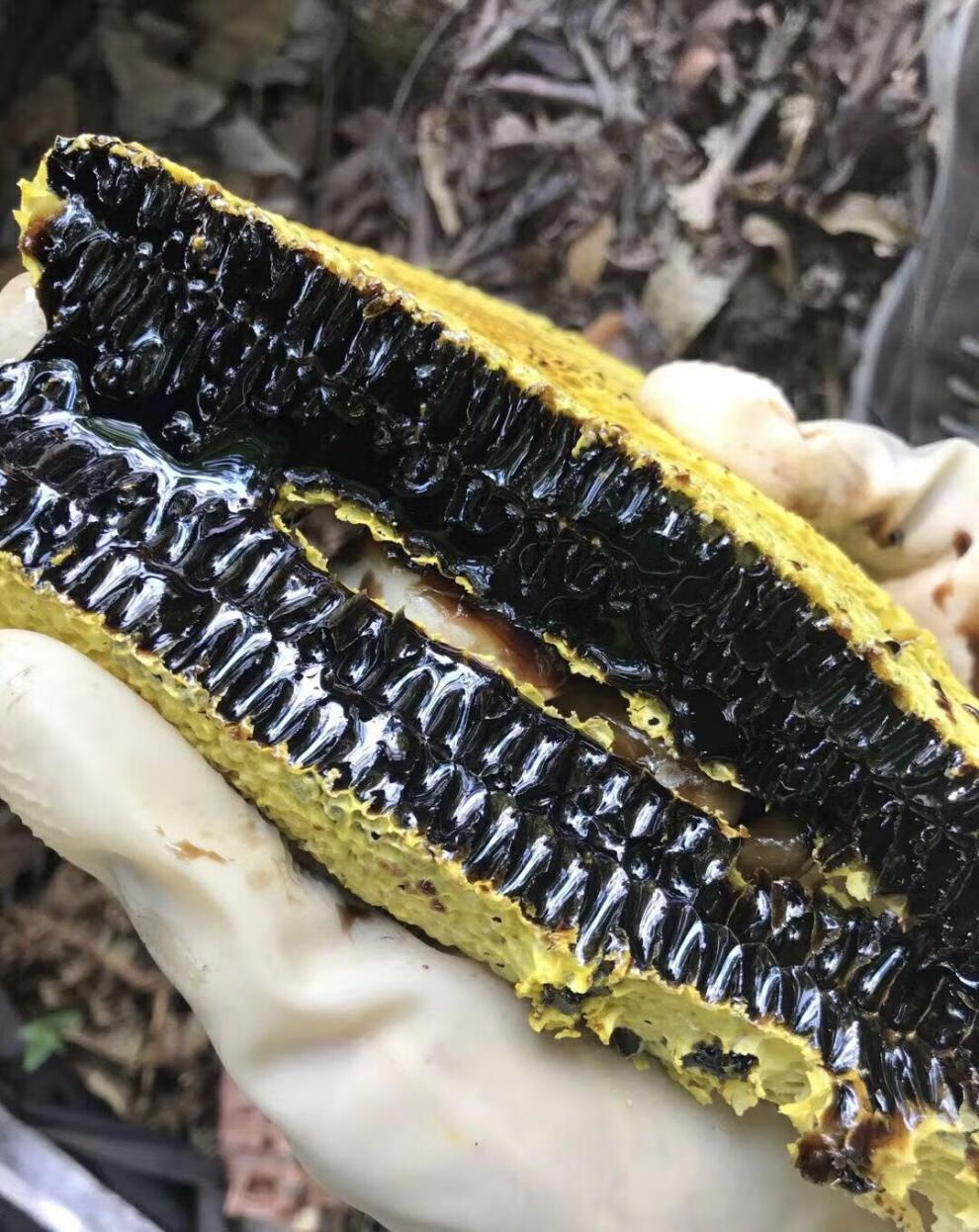 云南黑蜜米团花黑蜜黑金蜜崖蜜挂蜜黑蜜土蜂蜜500克 黑蜜一斤【图片