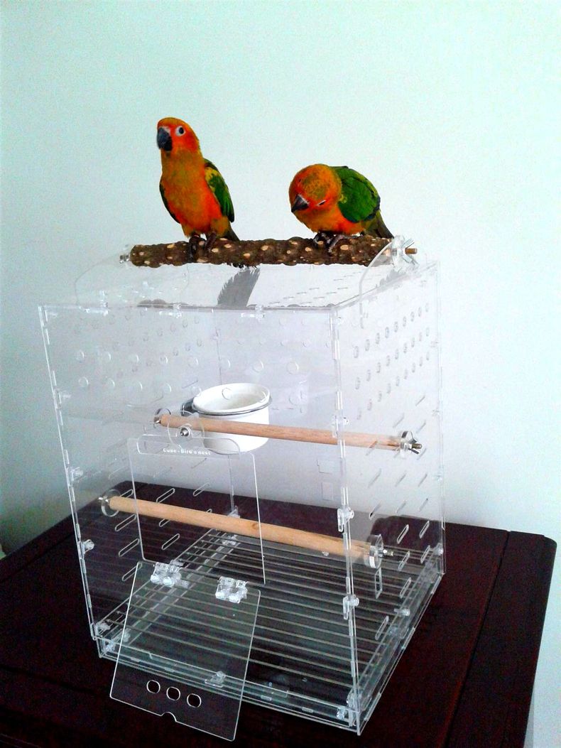 亚克力鸟笼透明鸟笼灰鹦鹉笼子不锈钢鹦鹉笼外带出行便携笼 长23x宽23