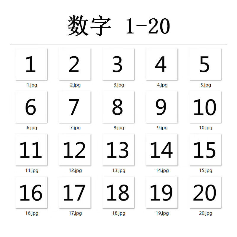 林中鸟 点数卡片数字宝宝早教认知卡片自闭症儿童孤独症康复训练教具