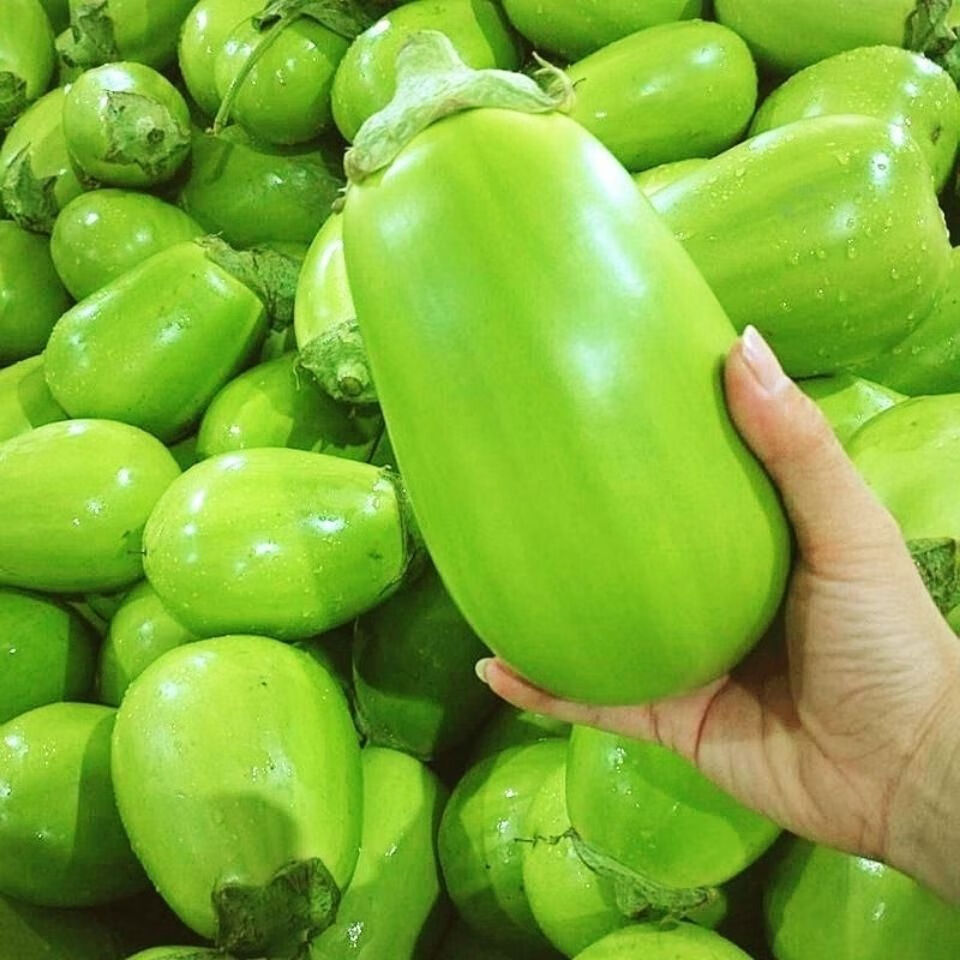 茄子新鲜河南特产现摘现发农家自种生吃大茄子新鲜绿茄子圆茄子1斤