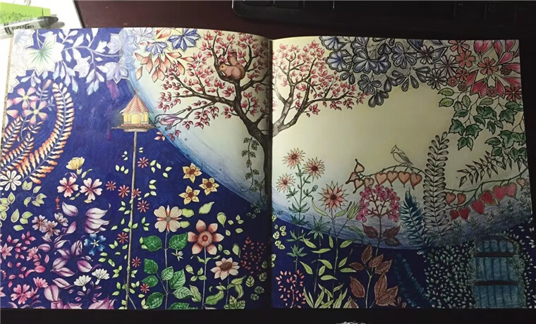 秘密花园涂色书大人减压填色本解压涂色绘本涂色画英文版 英文版秘密