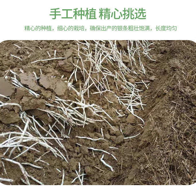 河南洛阳特产仙草根泡椒银条菜300g即食酸辣下酒菜原味银条8袋