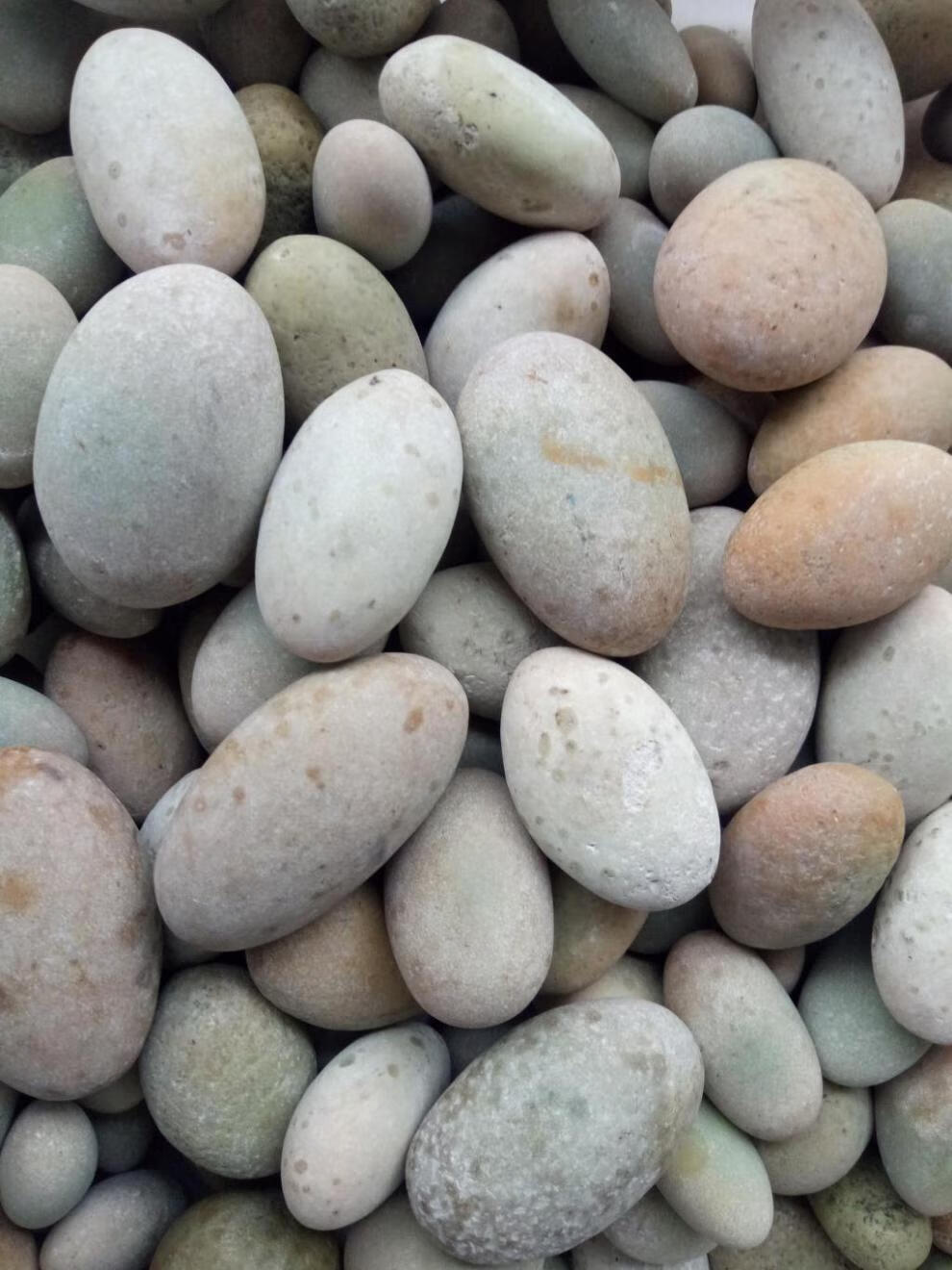 选美xuanmei夜明珠原石天然夜光石夜光石原石光奇石sn3633354cm厘米