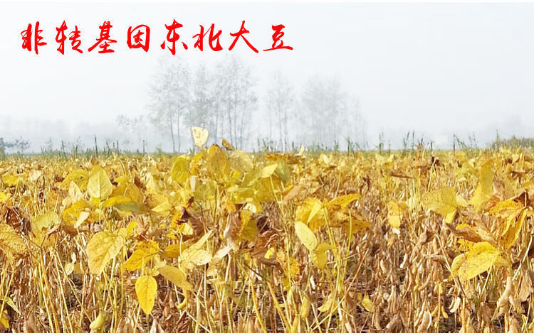 味极鲜 酱油调味 品酱油 家用炒菜 凉拌黄豆 酱油烹饪上色提鲜 五斤装*1味极鲜