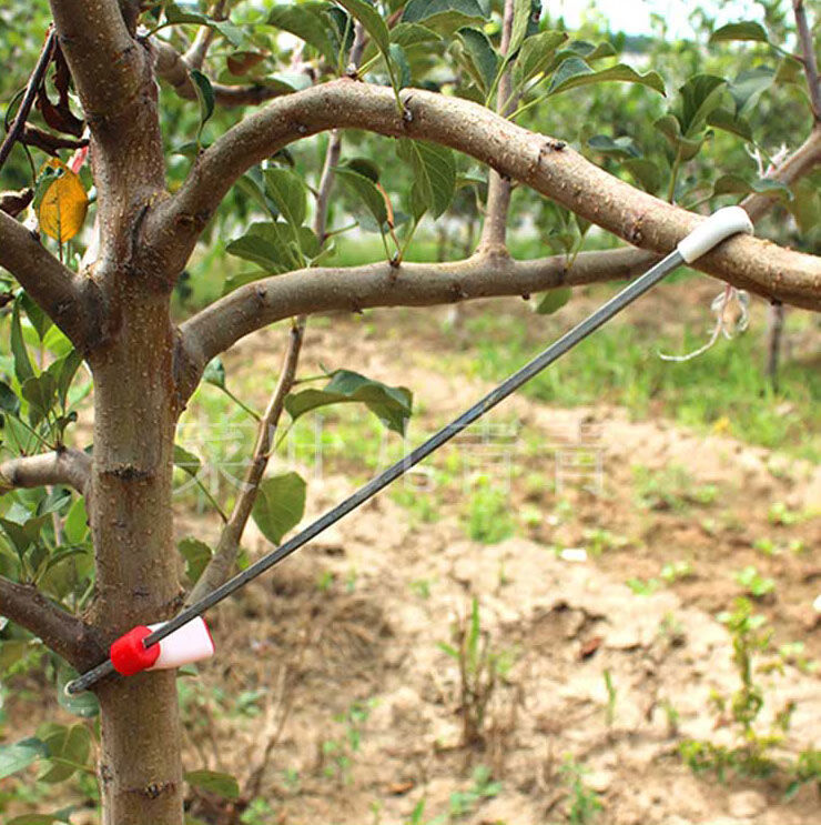 苹果树拉枝器开角器通用主干压枝绑枝树拉枝弯枝别枝定型器改进18厘米