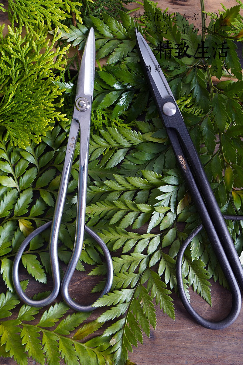 叶芽小枝切剪盆景剪刀修剪芽剪园艺修枝花剪插花花艺制作工具 全钢