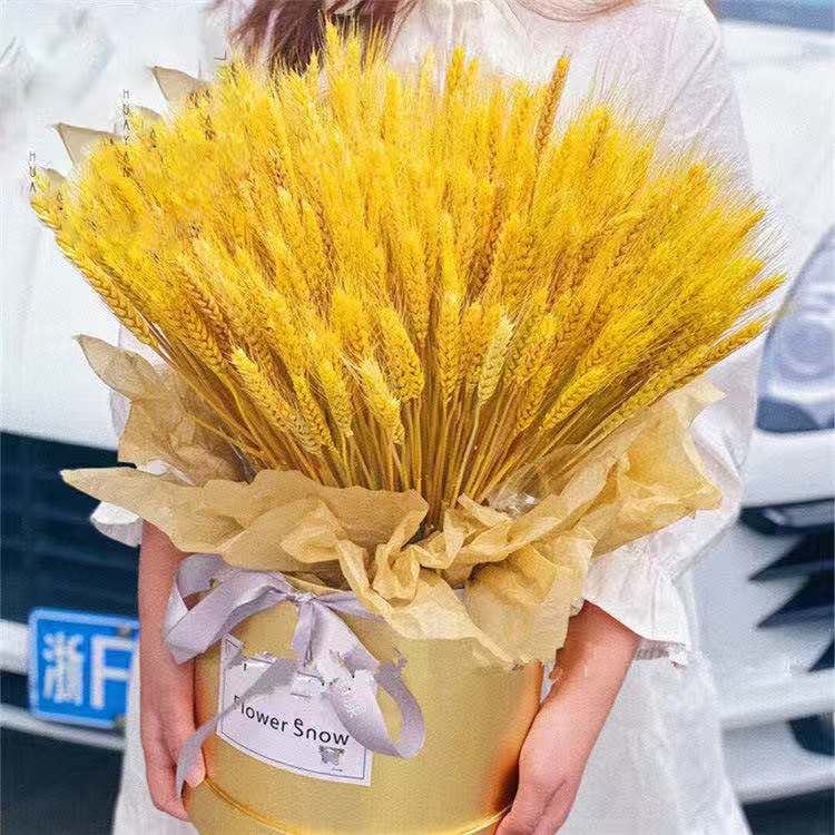 京享好礼黄金麦穗黄金麦穗客厅摆件仿真花稻穗稻谷过年干花大麦花束