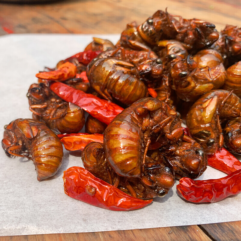 油炸知了猴昆虫金蝉熟知了龟蝉蛹香辣60只160g【图片 价格 品牌 报价