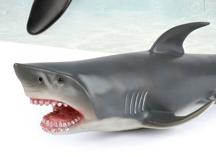 玩具黑真鲸模型鲸鱼海洋仿真动物软胶大号超大静态摆件礼物 鲸鲨 软胶