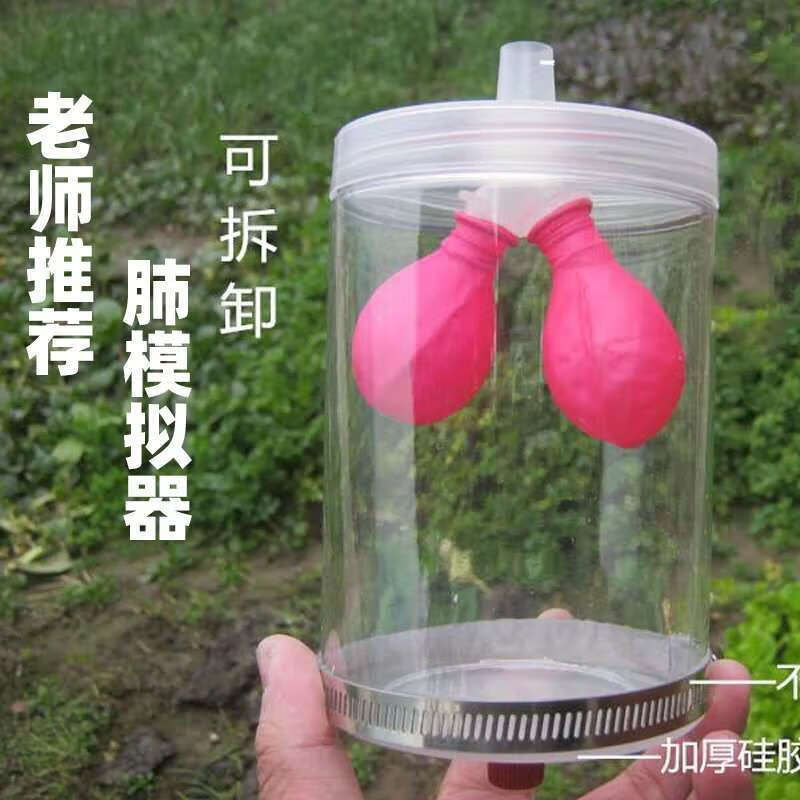 百简膈肌运动模拟器手动式教学生物仪器膈肌肺呼吸模型塑料膈肌1号