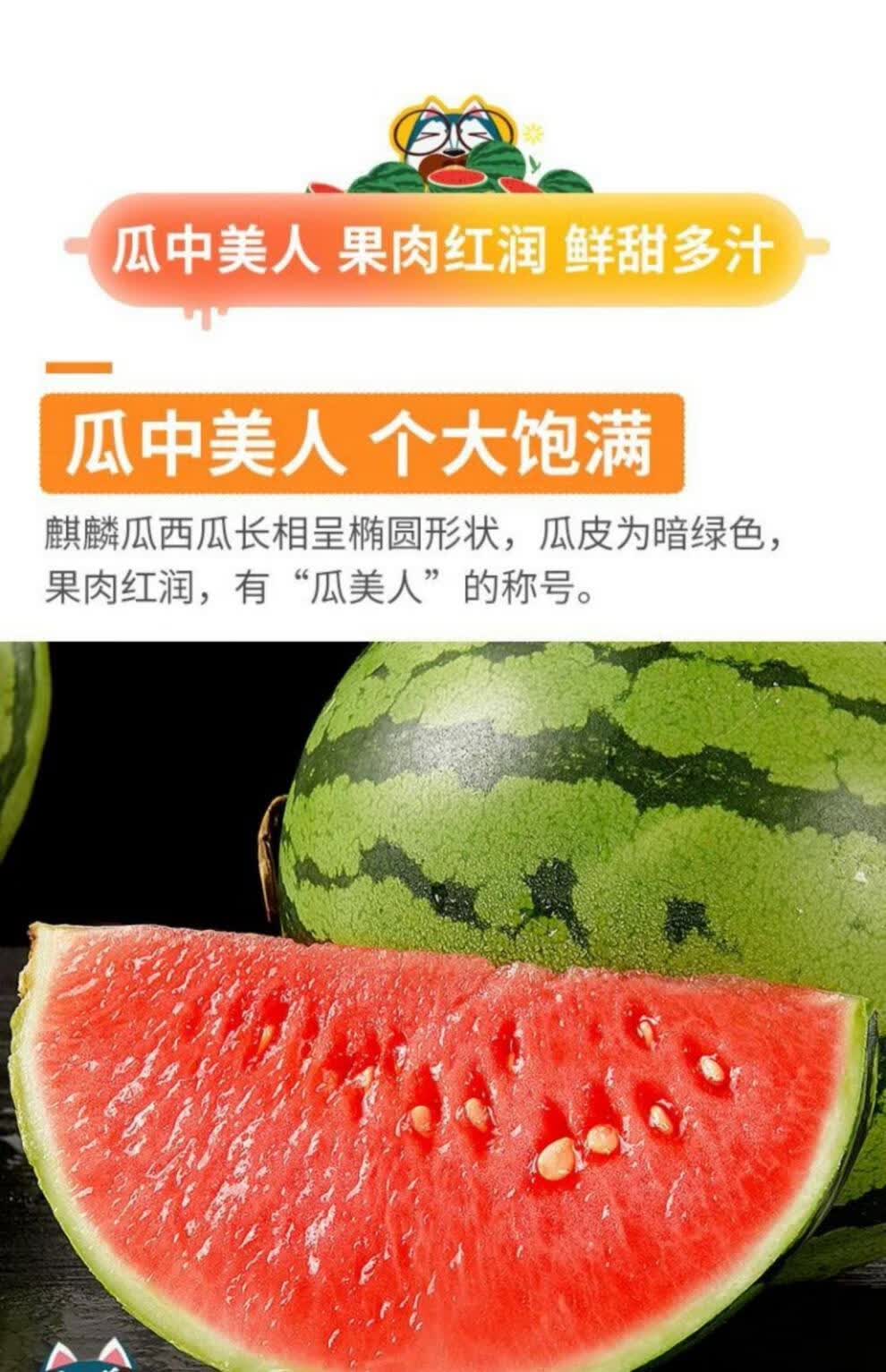顺丰速运现摘现发正宗海南8424麒麟西瓜应当季现摘新鲜孕妇水果沙瓤皮