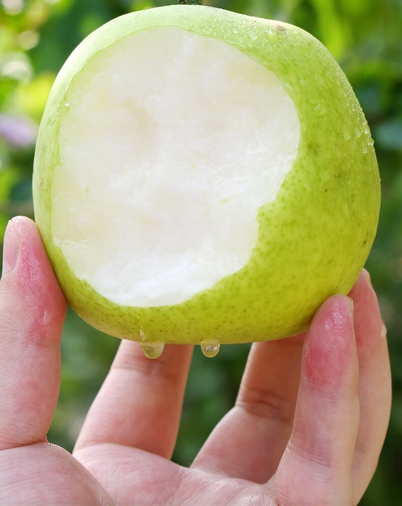 安徽砀山翠玉梨子新鲜水果10斤酥脆皇冠梨青皮雪梨当季整箱5 5000g 特