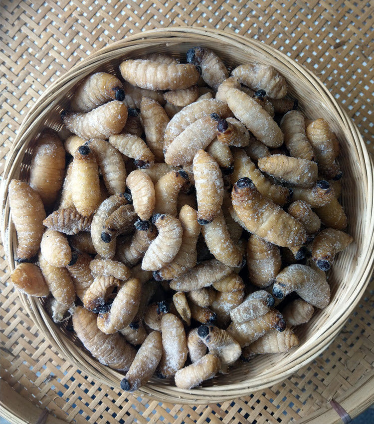 竹虫新鲜 速冻大竹虫竹笋虫竹蛹干冻无冰大竹蛆笋蛆笋子虫生鲜全国