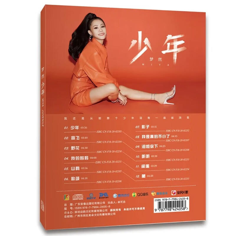 原创专辑梦然少年cd野花