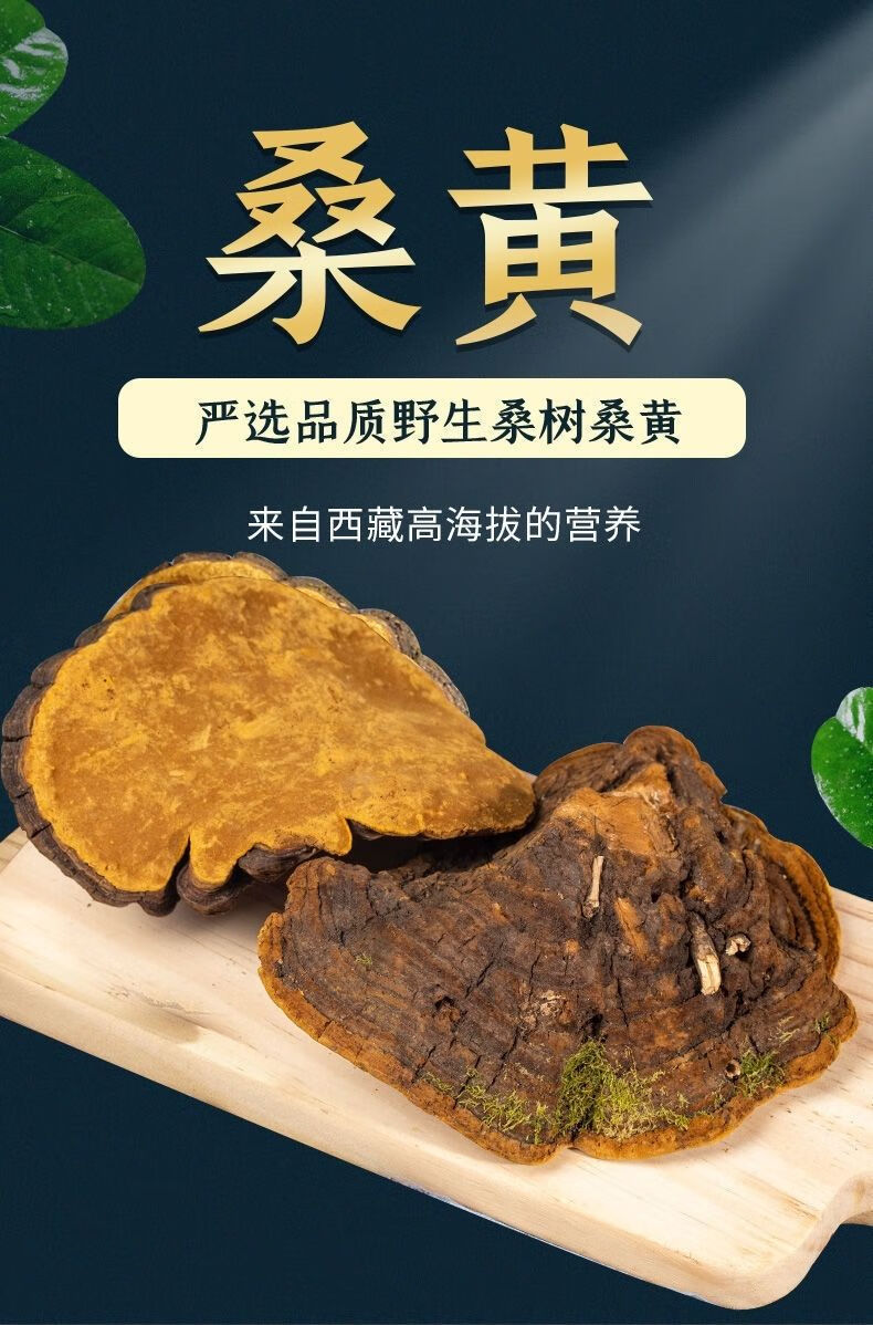 西藏桑树桑黄100克 15年帮切块【图片 价格 品牌 报价】-京东