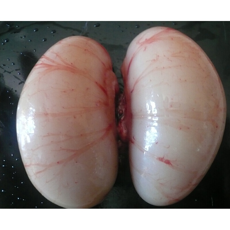 苏北农家新鲜活杀公鸡蛋公鸡卵鸡腰子小草鸡睾丸鸡肾剦蛋500g