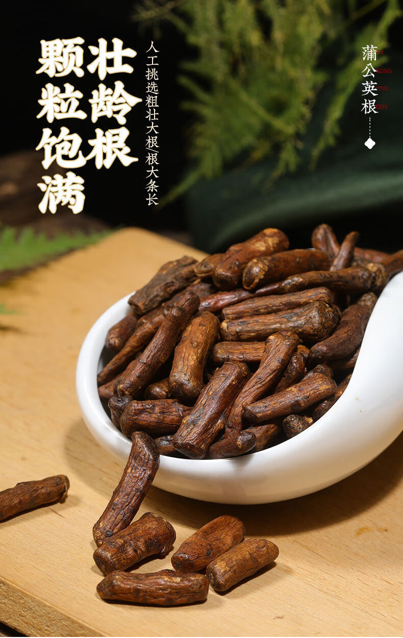 蒲公英根大根蒲谷丁根泡水炒熟干货只卖大根非蒲公英茶精选油亮大根